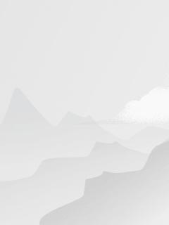 TA只想活着免费阅读_TA只想活着
