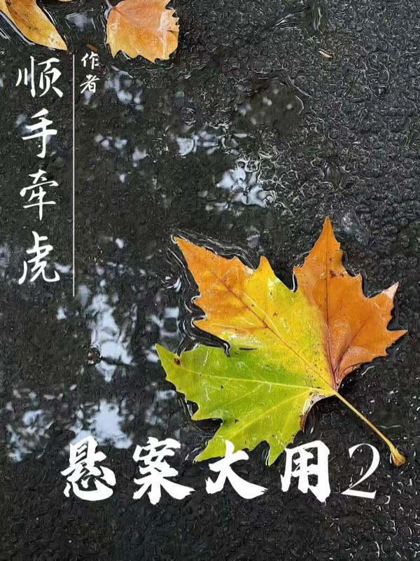 悬案大用2免费阅读_悬案大用2